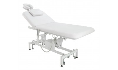 Electric Facial/Massage Bed/Table w / 2 Motors