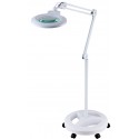 (Round 8 and or 5 Diaptor) Magnifying lamp / interchangeable lens/ dimmer light w/stand 